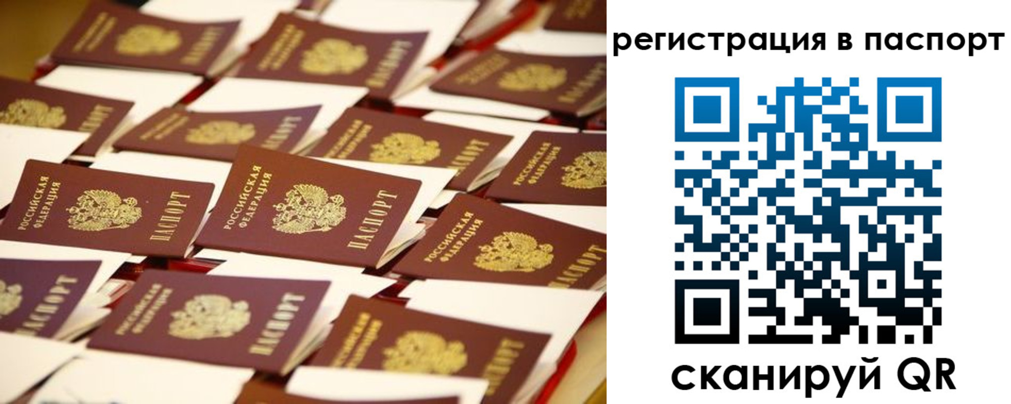 прописка гарантия в Кольчугино